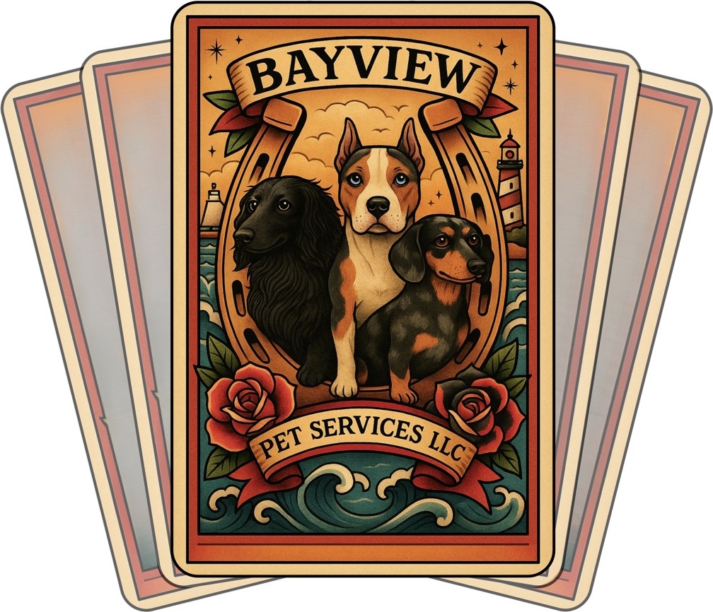 Bayview Pet Services LLC illustrated cards featuring dachshunds and an American Bully